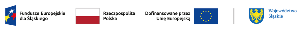 Unia Europejska fe sl kolor poziom br